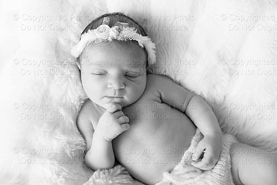 Livia