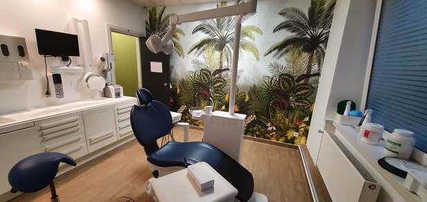 RECHERCHE CHIRUGIEN DENTISTE SALARIE (H/F) POUR THANN (68)