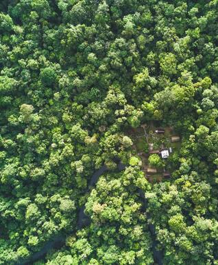 Recherche Collaborateur Guyane, super conditions! H/F