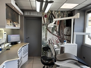 Recherche Collaborateur(trice) (proximité gare) 20 kms au Nord de Lyon (à Anse) H/F