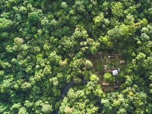 SUPER OFFRE POUR UNE EXPERIENCE UNIQUE EN GUYANE H/F