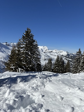 Recherche chirurgien-dentiste hygiéniste (H/F)