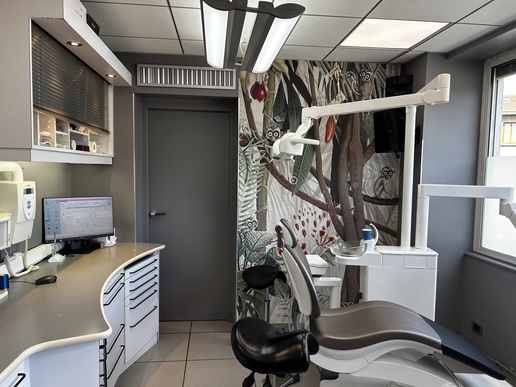 COLLABORATION ANSE/proche LYON H/F