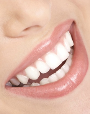 Compagnonnage ODF pour future collaboration