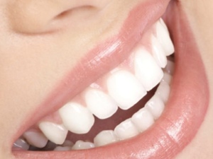 Compagnonnage ODF pour future collaboration