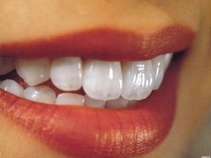 Céramiste haut de gamme