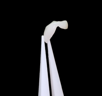 Prothésiste Dentaire (Conjointe, Adjointe, Implantologie, Numérique)