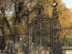 Chirurgien-Dentiste Collaboratrice/Collaborateur – Paris 8  H/F