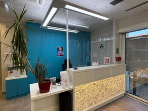 Assistant dentaire F/H - CDD