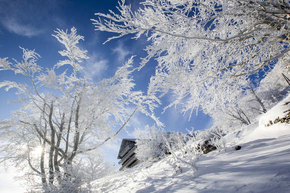 Cherche remplaçant(e) H/F