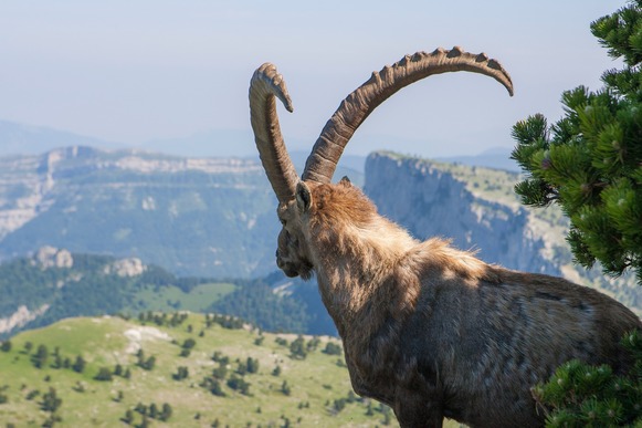 Cherche remplaçant(e) H/F