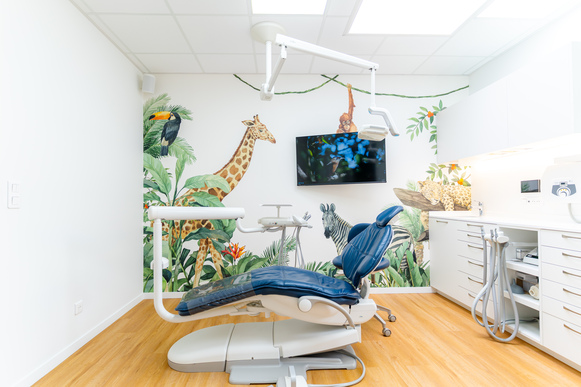 Cabinet dentaire pluridisciplinaire recherche pédodontiste H/F