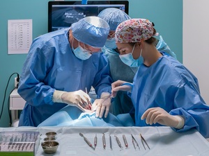 Assistante dentaire – 4 postes à pourvoir dans le Grand Lyon H/F