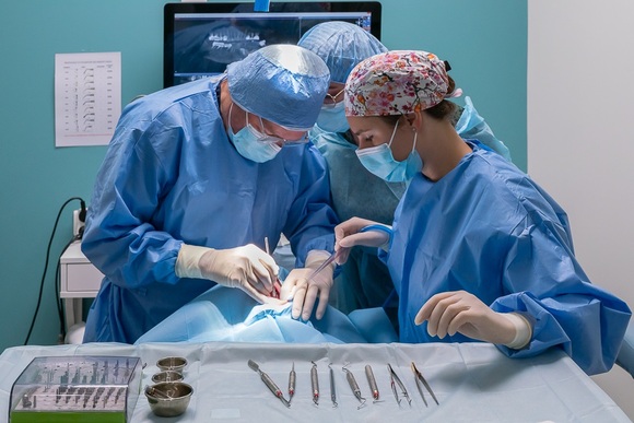 Chirurgien-Dentiste H/F - Grand Lyon