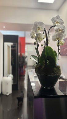 recherche secrétaire!denraire CDI 35/39h 4 jours Paris2 H/F