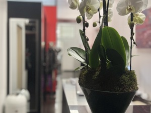 recherche secrétaire!denraire CDI 35/39h 4 jours Paris2 H/F