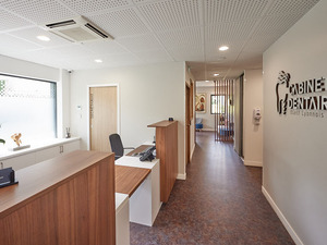 assistant(e) dentaire qualifié(e) ou en alternance H/F