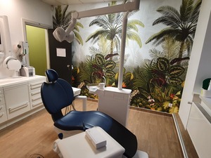 RECHERCHE CHIRUGIEN DENTISTE SALARIE (H/F) POUR MULHOUSE (68)