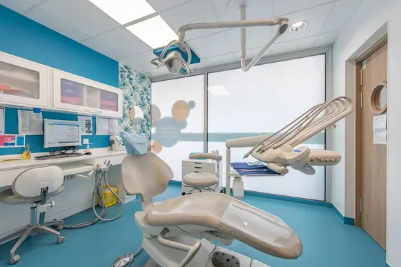 Chirurgien Dentiste Lyon 8 H/F