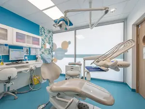 Chirurgien Dentiste Lyon 8 H/F