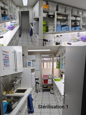 🦷 SYDEL · Champs-sur-Marne (77) – Implanto, 3 fauteuils, murs + fonds