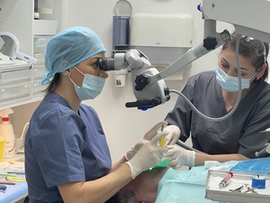 ADQ en endodontie H/F