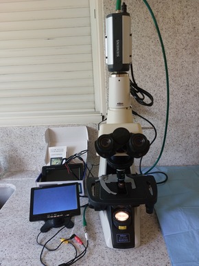 Microscope Nikon e200, caméra, écran 