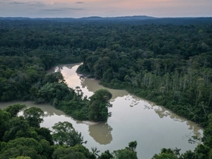 Belle opportunité en Guyane H/F