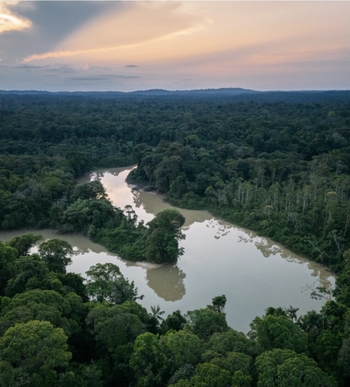 Belle opportunité en Guyane H/F