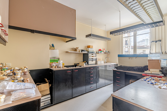 🦷 sydel · Paris (75) – 3 fauteuils, omnipratique & implantologie · Réf. 7509