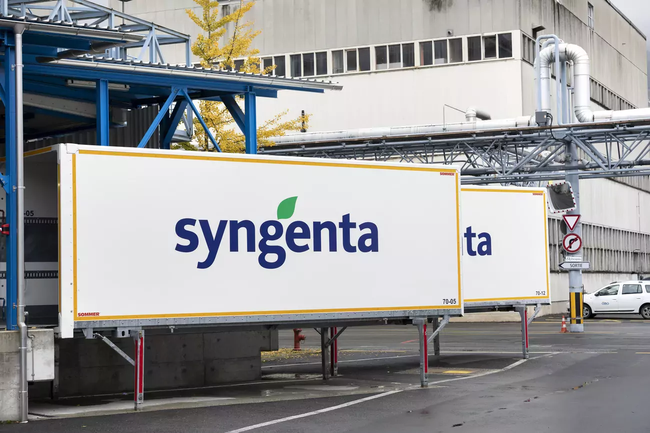 Syngenta doit mettre à jour sa demande de cotation avec ses derniers rapports financiers.