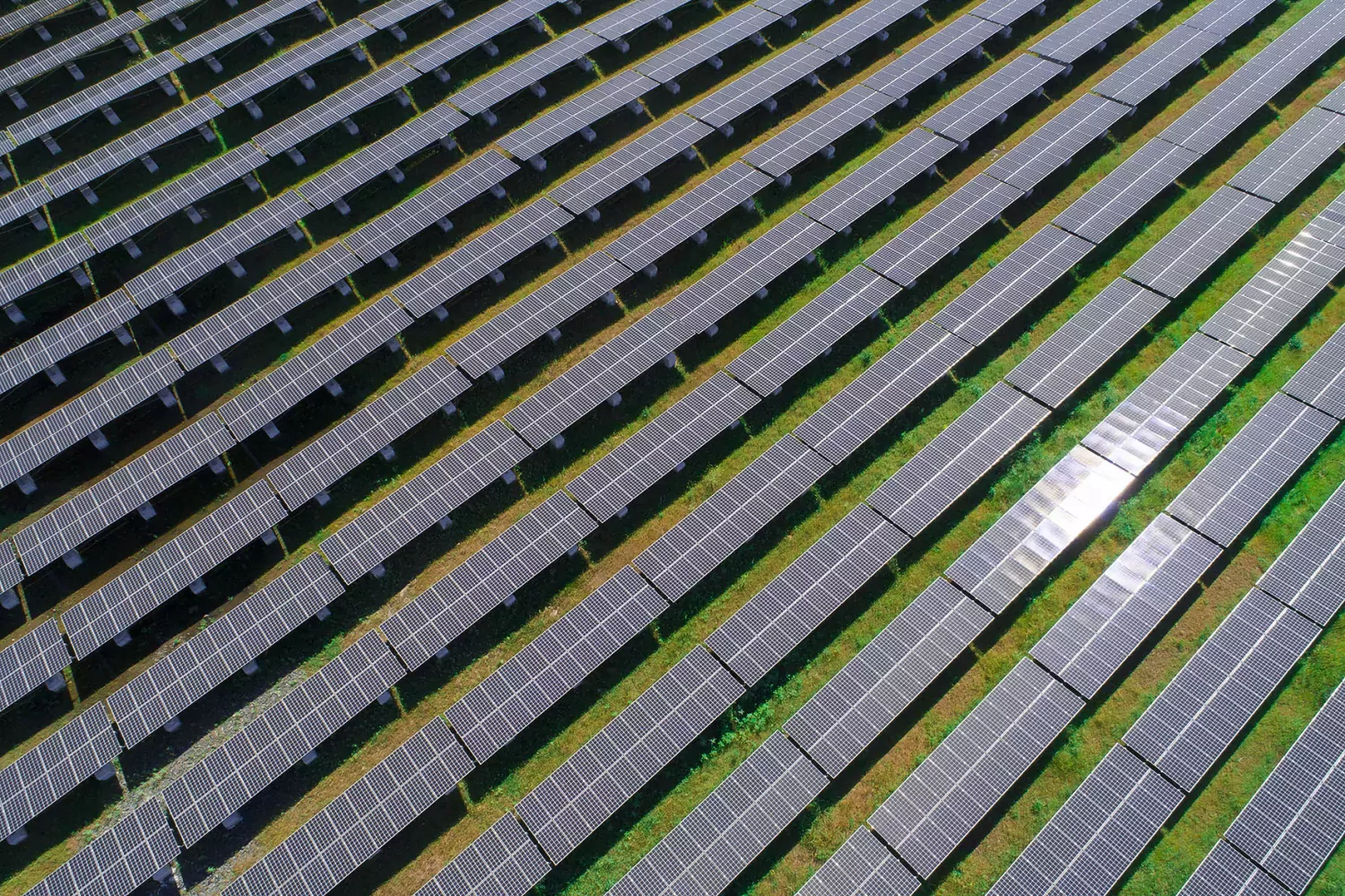 Le montant de l'investissement pour la construction des installations solaires n'a pas été dévoilé.