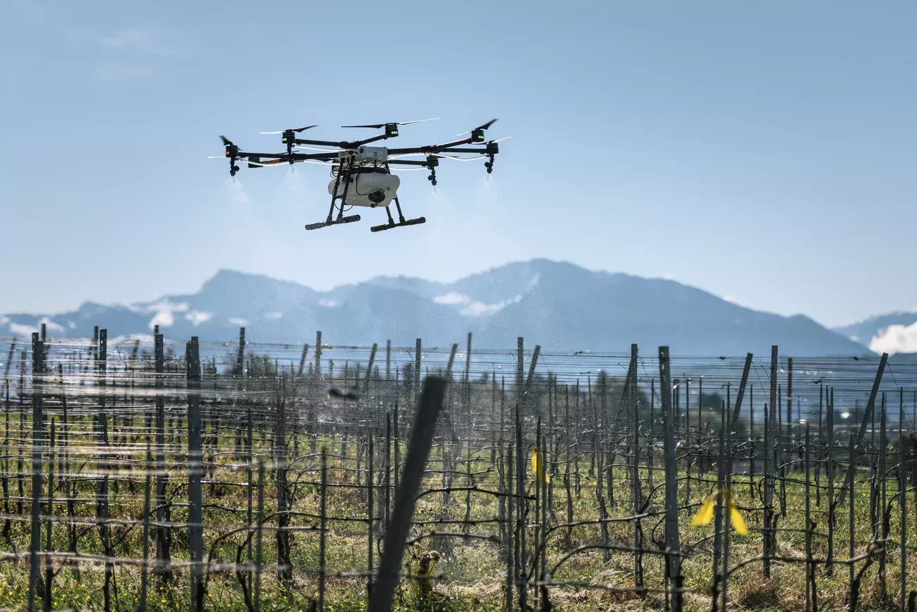 La «Drone Valley» mise en danger par les modèles réduits