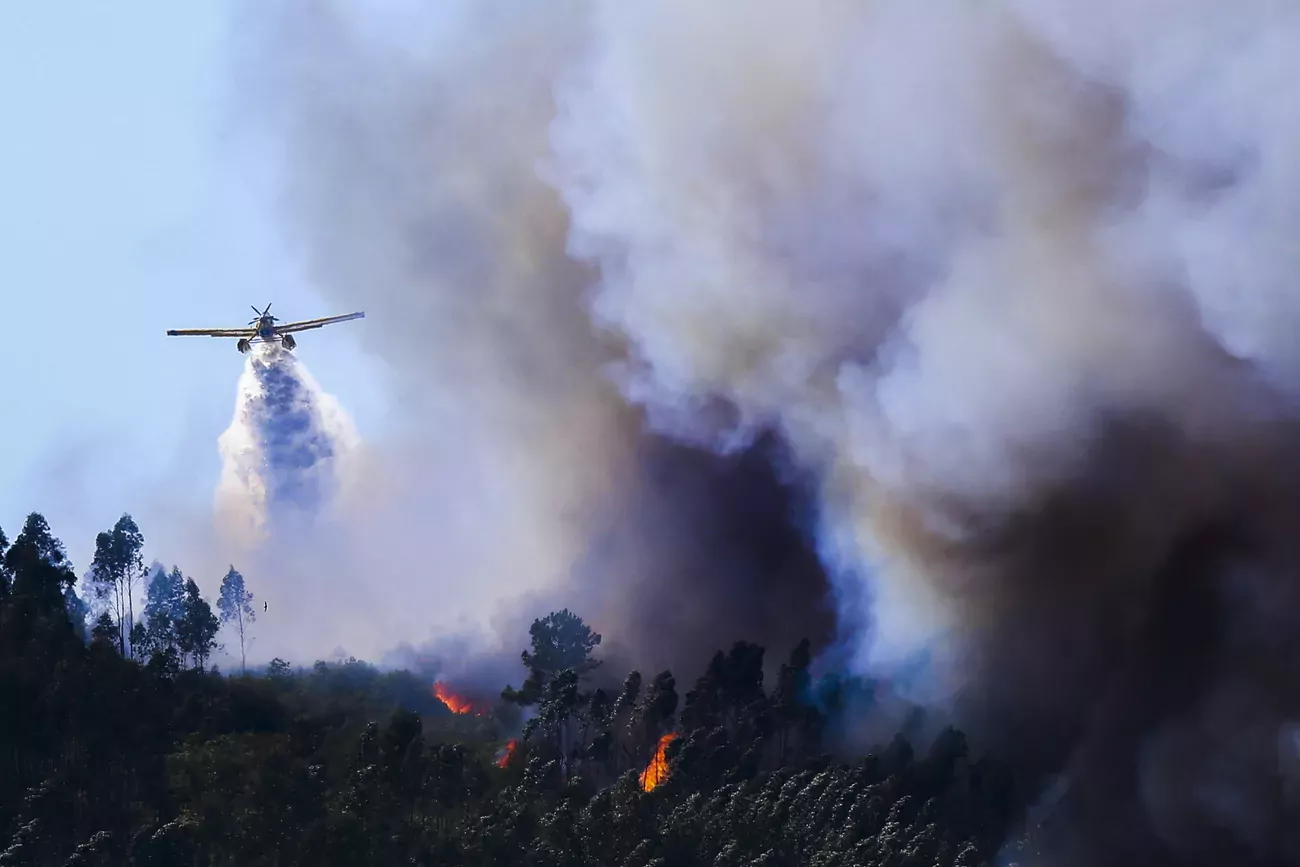 Deux vagues de chaleur estivales ont par ailleurs provoqué des incendies de forêt dévastateurs dans le sud-ouest de l'Europe.