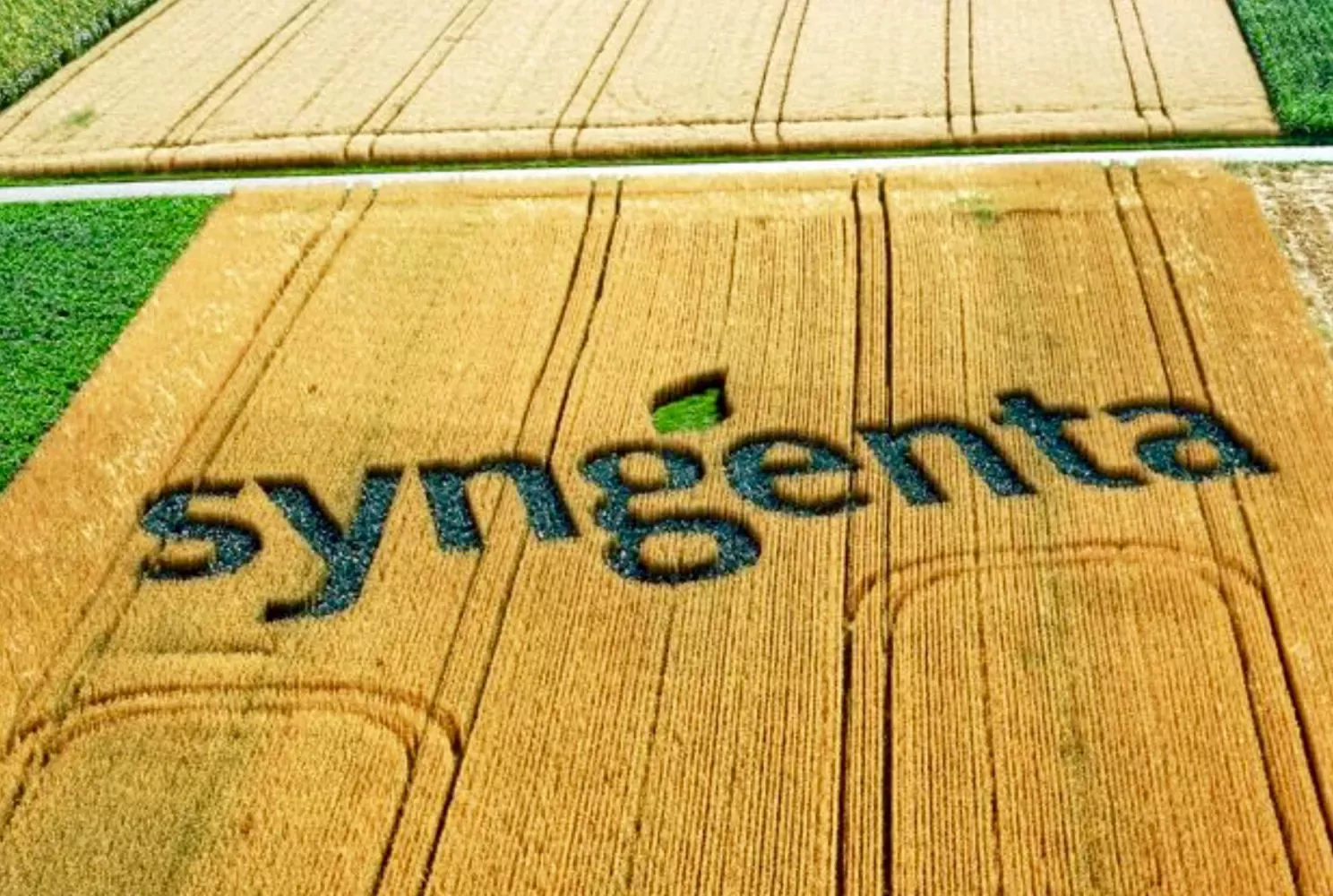 L’agrochimie face à sa grande mutation