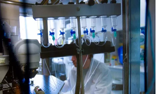 Durant la période sous revue, le cours de l'action BB Biotech a chuté de 15,7% en franc et de 14,8% en euro. La valeur nette d'inventaire (VNI) a dévissé de 22% en franc, 20,1% en euro et 21,4% en dollar, l'entreprise étant principalement exposée aux titres du secteur biotechnologique de petite et moyenne taille.