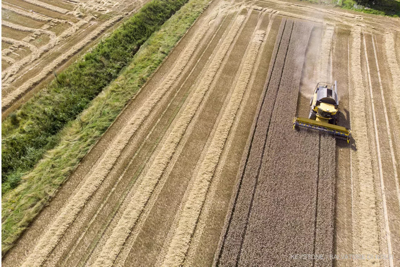 «A-t-on bien compris que cette agro-industrie ne fait que nous enfoncer davantage dans nos dépendances du fossile, des engrais minéraux, des intrants chimiques?»