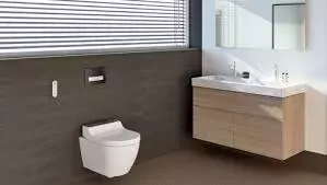 Geberit. Un renforcement en 2019 de la combinaison des systèmes/produits derrière et devant le mur. 