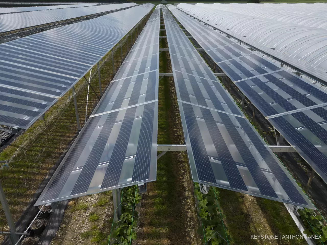 «Sans électricité en quantité suffisante, la décarbonation et donc l’objectif zéro émission nette sont voués à l’échec et notre prospérité est mise en cause.»