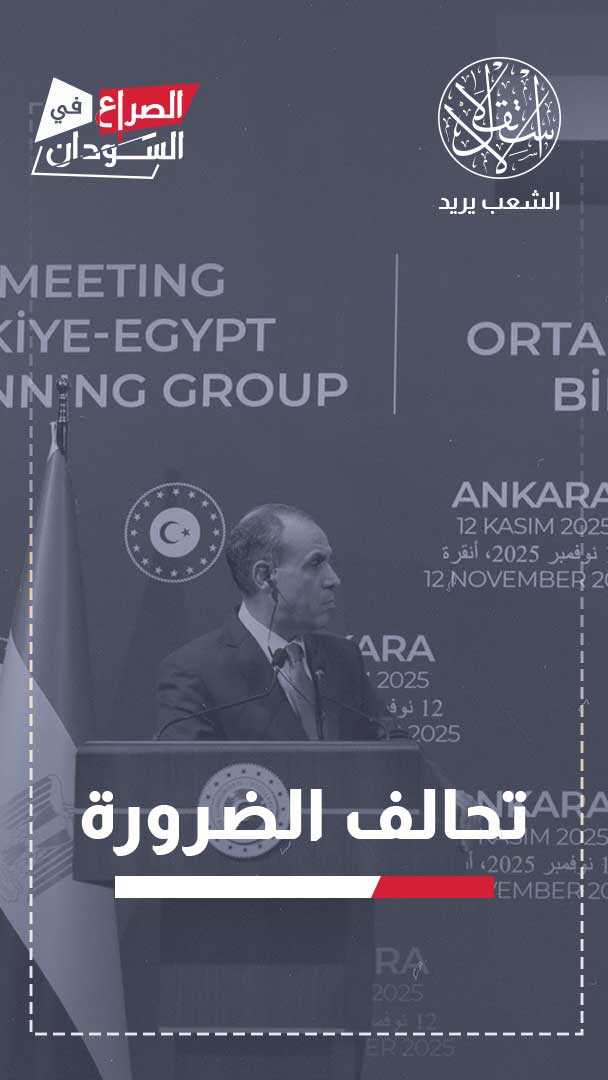 مصر وتركيا في مواجهة نفوذ الإمارات.. إلى أين تتجه حرب السودان؟