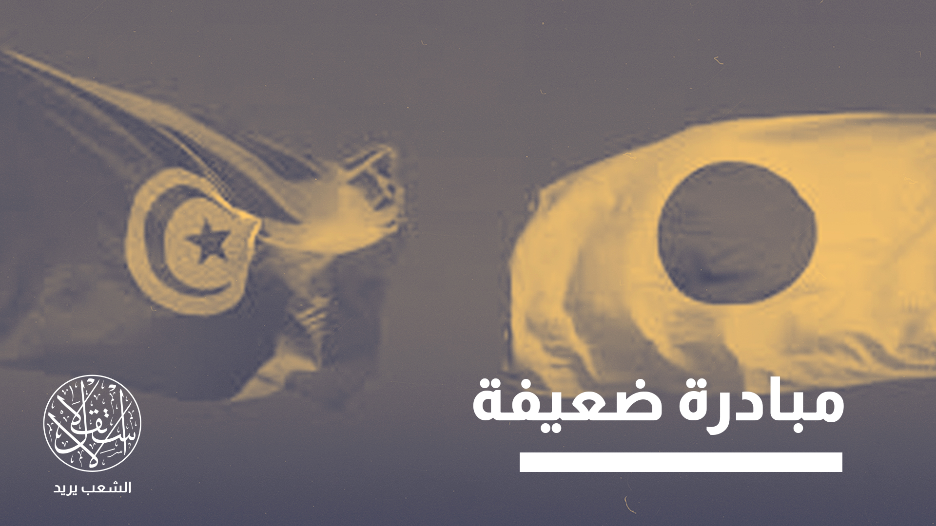 "تونس لم تستثمر الفرصة كما يجب لتطوير مشاريع هيكلية بالشراكة مع اليابان"