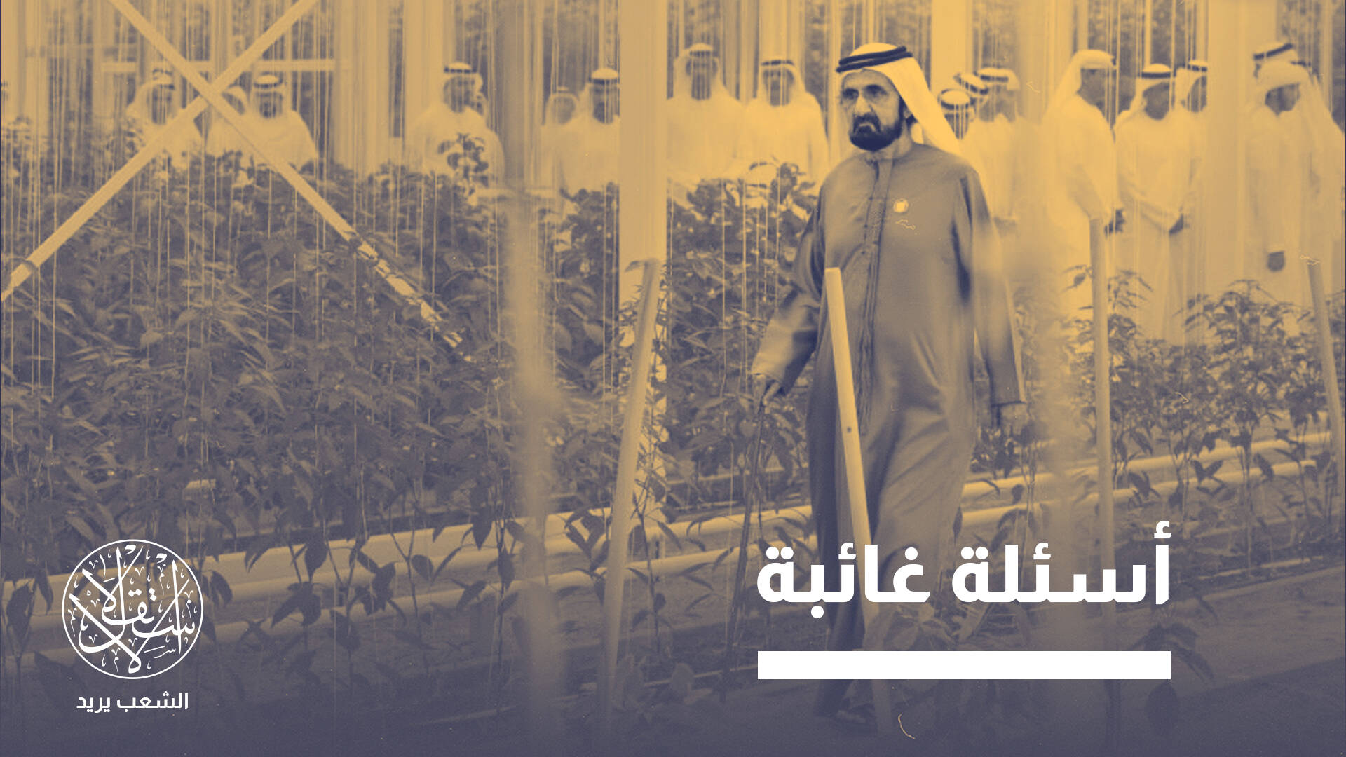 الإمارات تستحوذ على أكبر مجمع زراعي في مصر .. تفاصيل "صفقة الهاشمية"