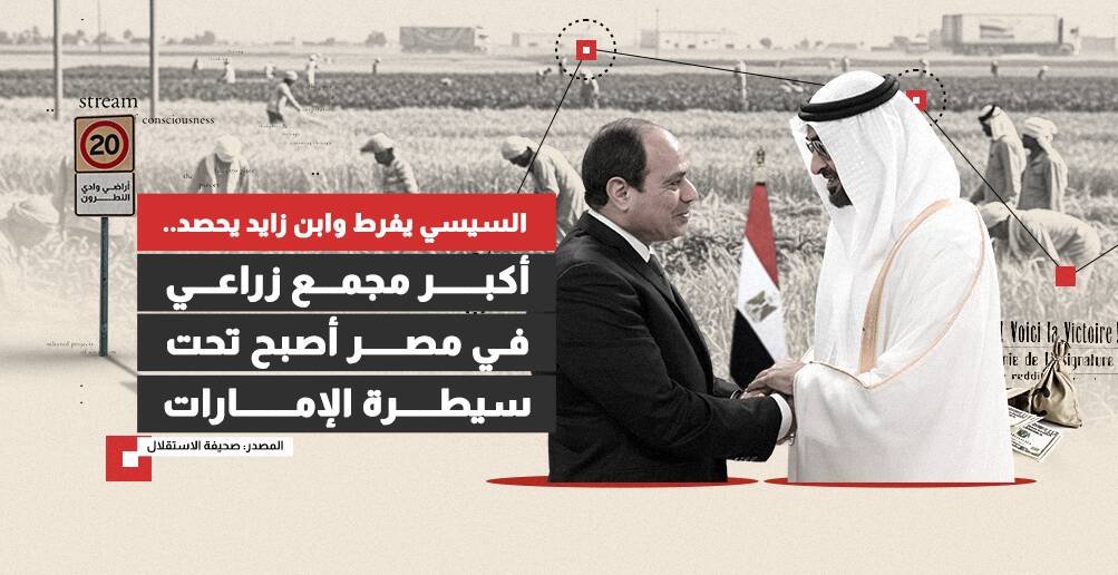 السيسي يفرط وابن زايد يحصد.. أكبر مجمع زراعي في مصر أصبح تحت سيطرة الإمارات (إنفوجراف)