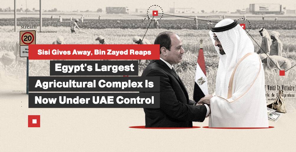 Sisi Gives Away, Bin Zayed Reaps Egypt’s Largest Agricultural Complex | Infographic