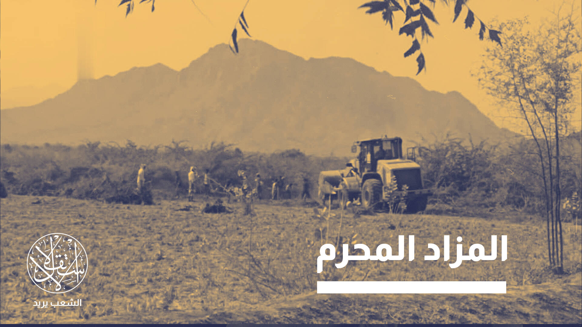 من شركة حكومية مصرية إلى ذراع عسكرية.. قصة ابتلاع "العربية لاستصلاح الأراضي"