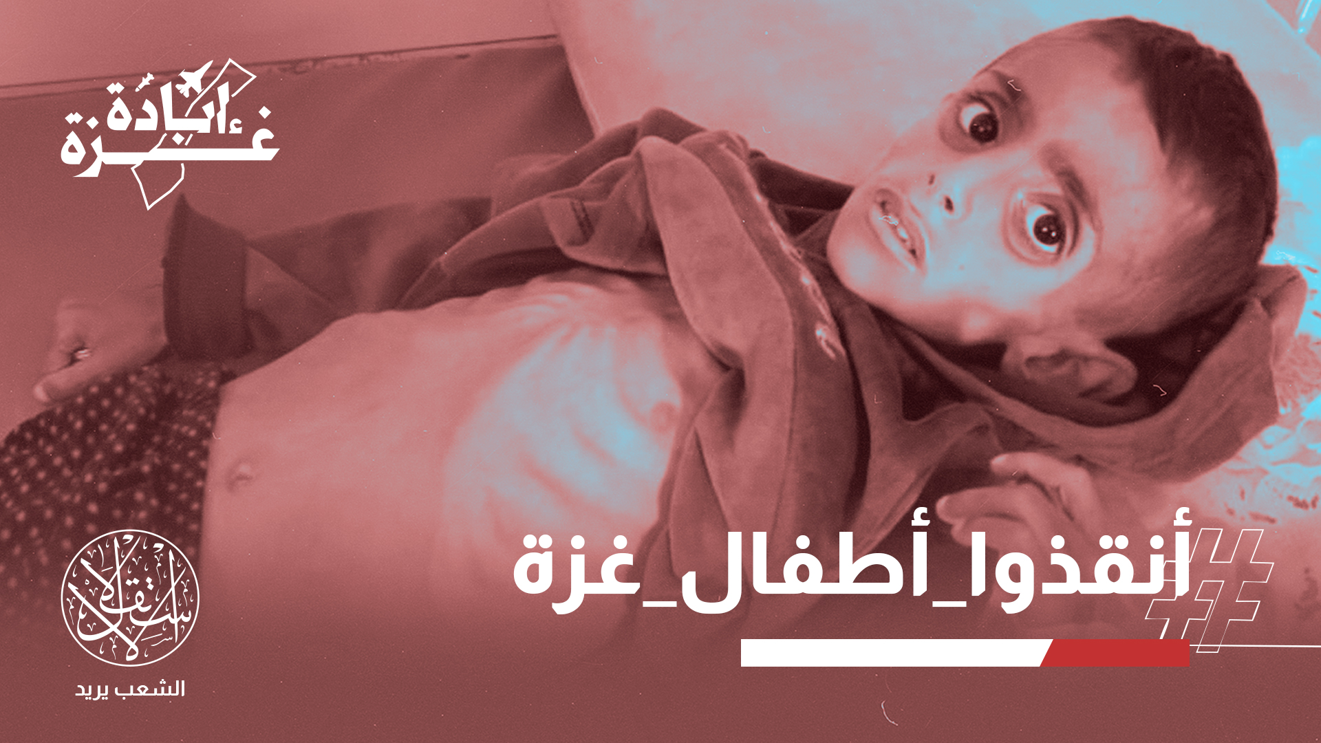"كيف لم تهتز أي جهة مسلمة لما يحدث؟"