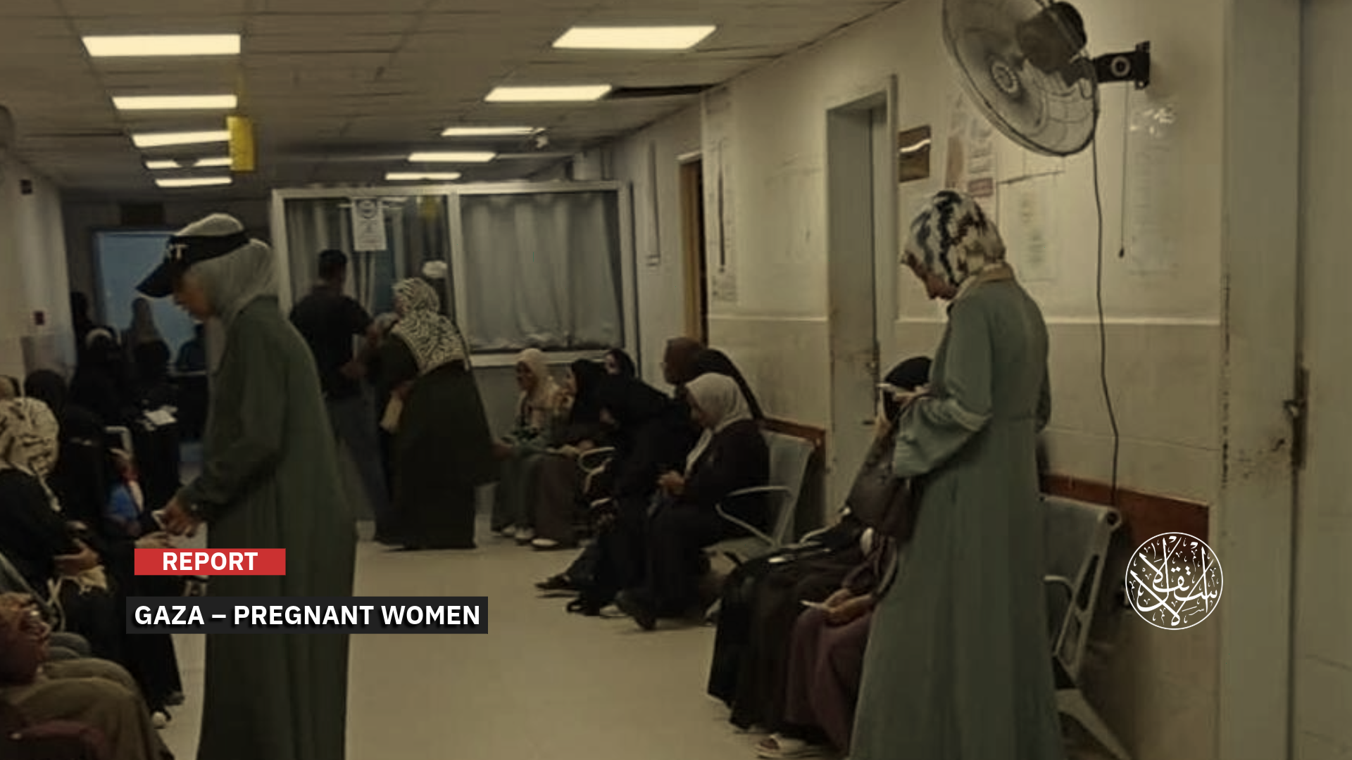 "The number of births in the Gaza Strip fell by about 41 percent in the first half of 2026."
