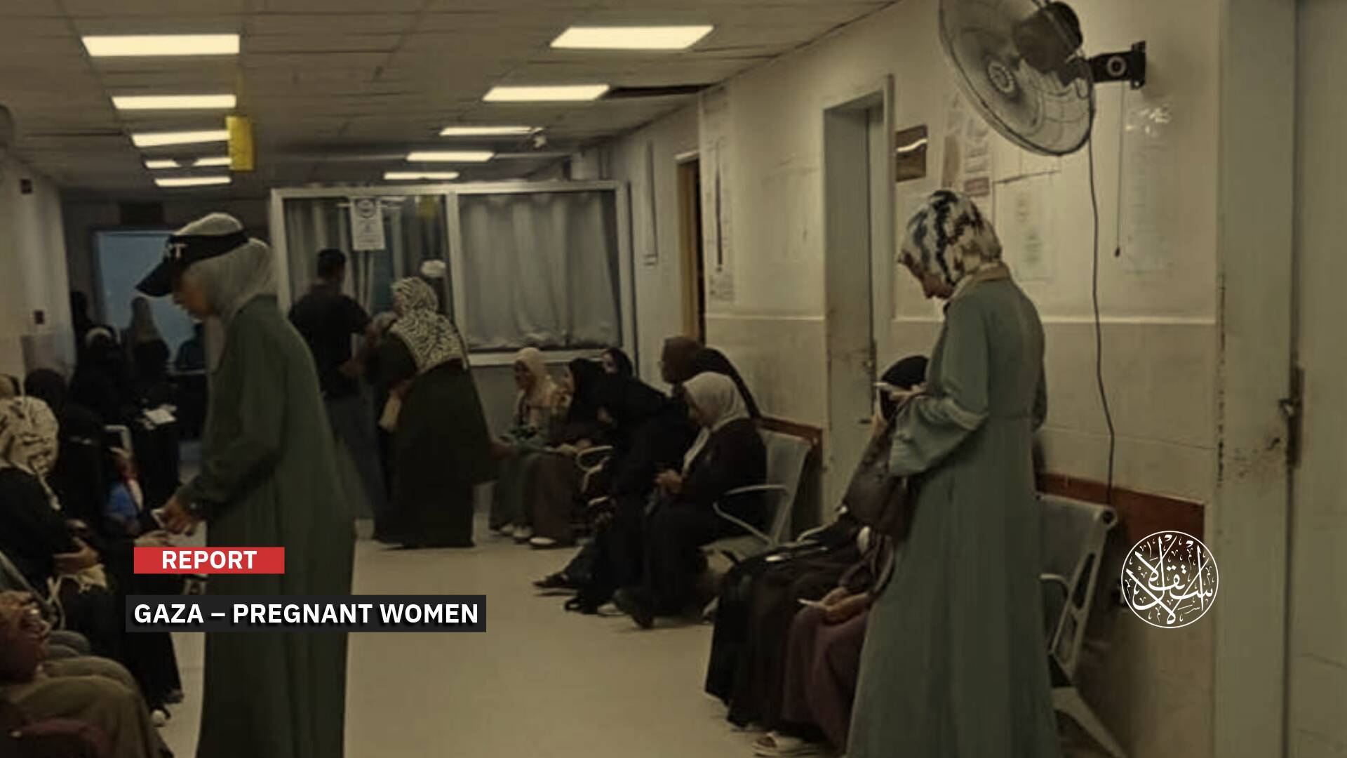 The Abortion Rate in Gaza Has Increased by 261%: What Is the Reason?