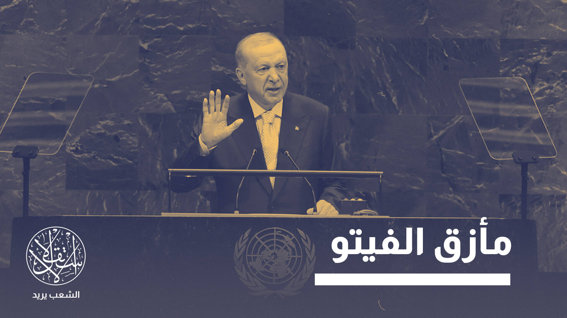 "خطوة شديدة الخطورة".. لماذا تقلق إسرائيل من دعوة أردوغان إصلاح مجلس الأمن؟