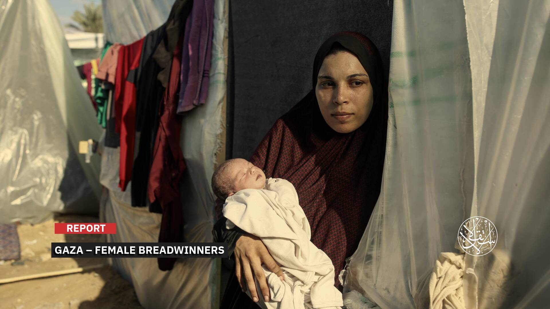 Female Majority: How the Israeli War Reshaped Palestinian Families